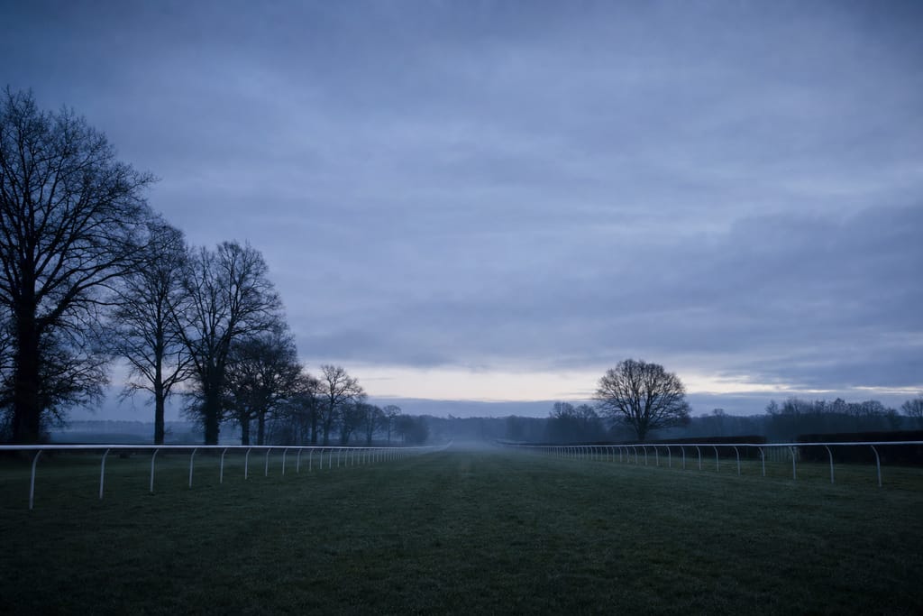 Leere Grasrennbahn im Morgengrauen, weiße Begrenzungen laufen in den Nebel, kahle Bäume am Horizont