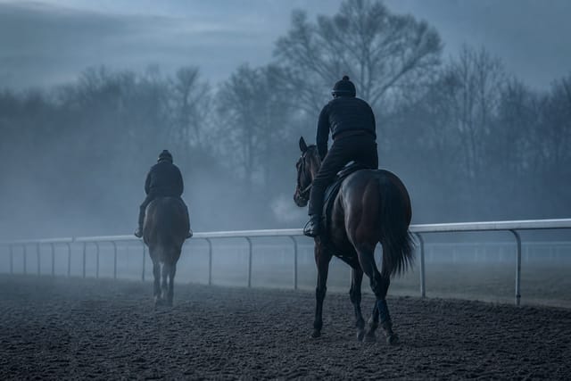Zwei Rennpferde mit Reitern bei der Morgenarbeit auf einer Sandbahn im Nebel